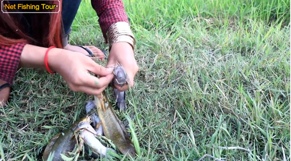 Net Fishing Tour youtube