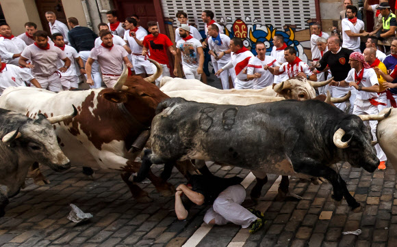 8일(현지시간) 스페인 북부 팜플로나에서 열리고 있는 ‘산 페르민 소몰이 축제’중 참가자가 달리는 황소떼를 피해 몸을 웅크리고 있다. AFP 연합뉴스