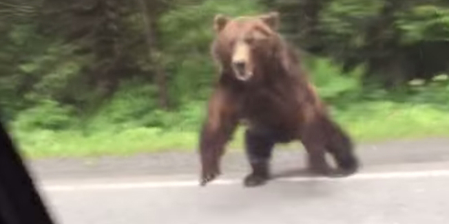 유튜브 영상 캡처