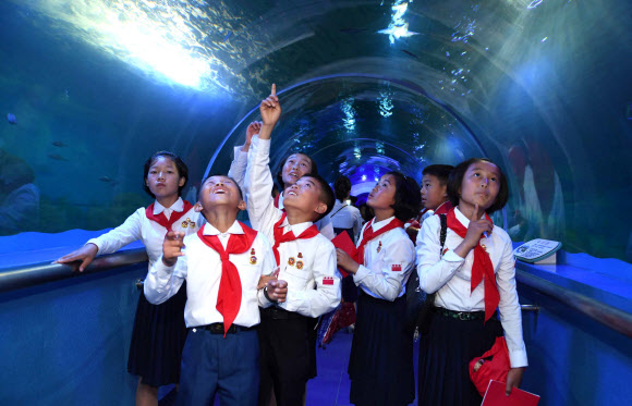 수족관 방문한 조선소년단 대표들