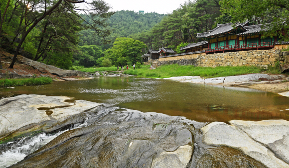 2009년 명승으로 승격된 석천계곡. 봉화 사람들이 즐겨 찾는 피서지다. 짙은 솔숲과 맑은 계곡물이 일품이다. 계곡 위 건물은 석천정사다.