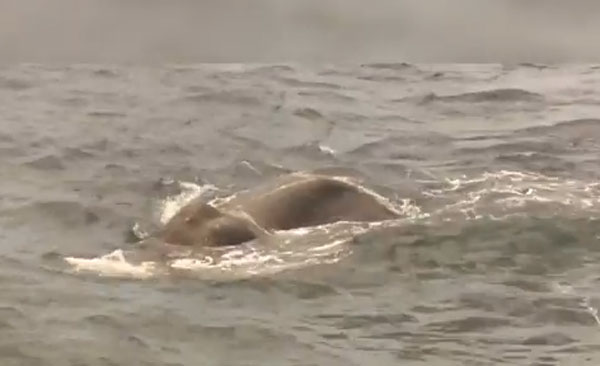 United News International youtube