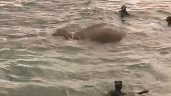 United News International youtube