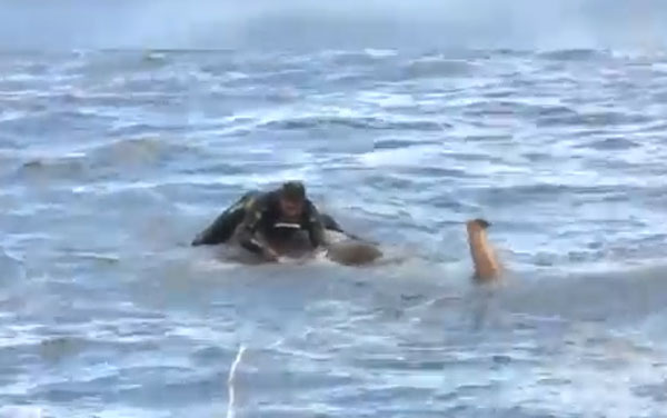 United News International youtube