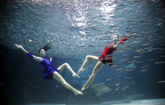 정어리와 함께 시원하게