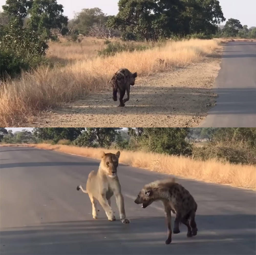 유튜브 영상 캡처