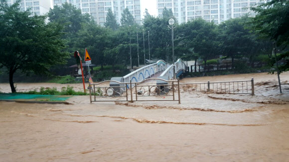 청주 도심 하천 범람