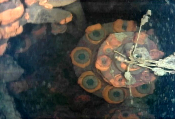 ‘리틀 선피시’가 촬영한 3호기의 격납용기 내부는 원자로의 바로 아래에 있어야 할 발판이 녹아서 없어지는 등 심하게 손상돼 있었다. 후쿠시마 AP 특약