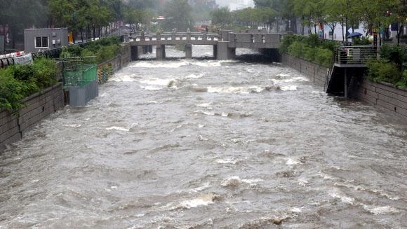 물 불어난 청계천