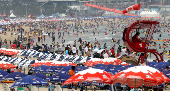 절정으로 치닫는 여름