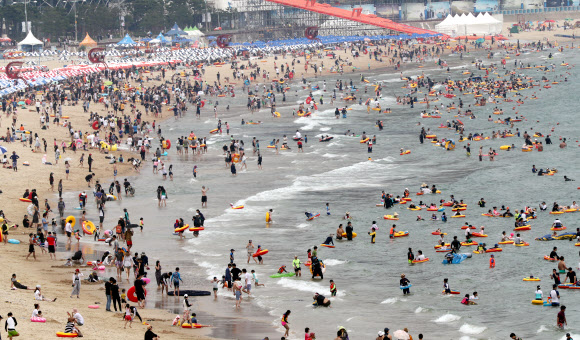 ‘물반 사람반’