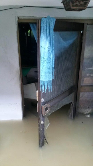 90대 노인 생명 앗아간 침수 반지하 주택