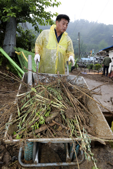 ’물난리 외유’ 도의원들 복구 작업