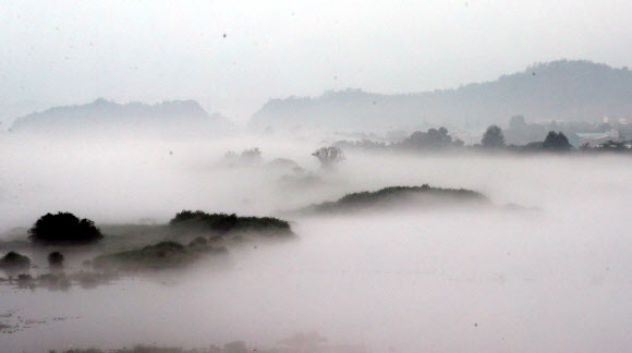 장맛비가 주춤한 24일 오전 강원 춘천시 신북읍 소양강에 물안개가 자욱하게 피어 있다.  연합뉴스