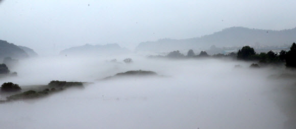 장맛비가 주춤한 24일 오전 강원 춘천시 신북읍 소양강에 물안개가 자욱하게 피어 있다.  연합뉴스