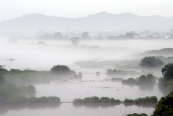 장맛비가 주춤한 24일 오전 강원 춘천시 신북읍 소양강에 물안개가 자욱하게 피어 있다.  연합뉴스