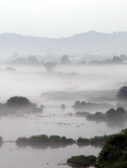 장맛비가 주춤한 24일 오전 강원 춘천시 신북읍 소양강에 물안개가 자욱하게 피어 있다.  연합뉴스