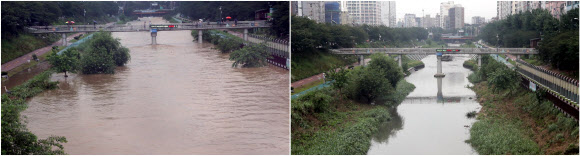 수도권 폭우가 그친 24일 오전 서울 은평구 불광천에서 시민들이 물이 빠진 하천을 바라보고 있다. 왼쪽은 전날 기습폭우 모습.  연합뉴스