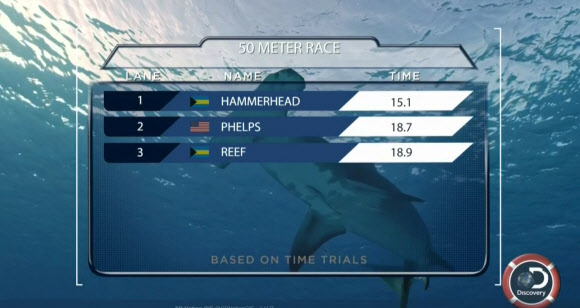 24일(한국시간) 디스커버리채널은 전 세계의 관심을 끈 ’펠프스 vs 상어’ 프로그램을 통해 결과를 공개했다.  펠프스와 상어의 50m 대결 결과 펠프스는 암초상어에게는 승리했지만, 귀상어에게는 완패했다.  디스커버리채널 캡처=연합뉴스