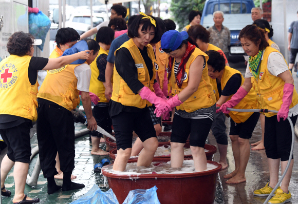 24일 전날 폭우로 비피해를 입은 인천시 부평구 일대에서 대한적십자사 인천지구 소속 회원들이 빨래봉사를 하고 있다.  정연호 기자 tpgod@seoul.co.kr