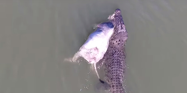 유튜브 영상 캡처