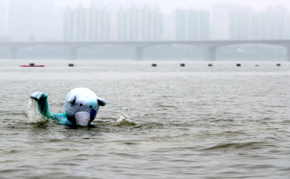 북극곰 통키 사육환경 개선 퍼포먼스