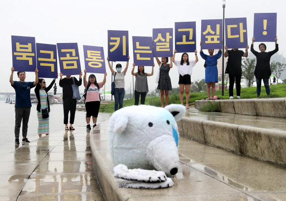 북극곰 통키 돕기 위해 뭉친 활동가들
