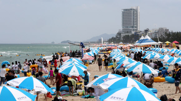 피서 절정기인 30일 강원 강릉시 경포해수욕장에는 많은 피서객이 몰려 파라솔 아래서 시원한 바닷바람을 맞거나 물놀이를 즐기며 무더위를 식히고 있다. 경포를 비롯한 동해안 해수욕장은 지난 5일 개장 후 주말과 휴일마다 계속 비가 내리는 등 궂은 날씨였으나 이날은 모처럼 맑았다.  연합뉴스