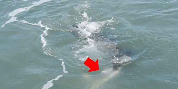 유튜브 영상 캡처