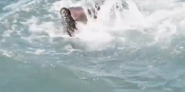 유튜브 영상 캡처