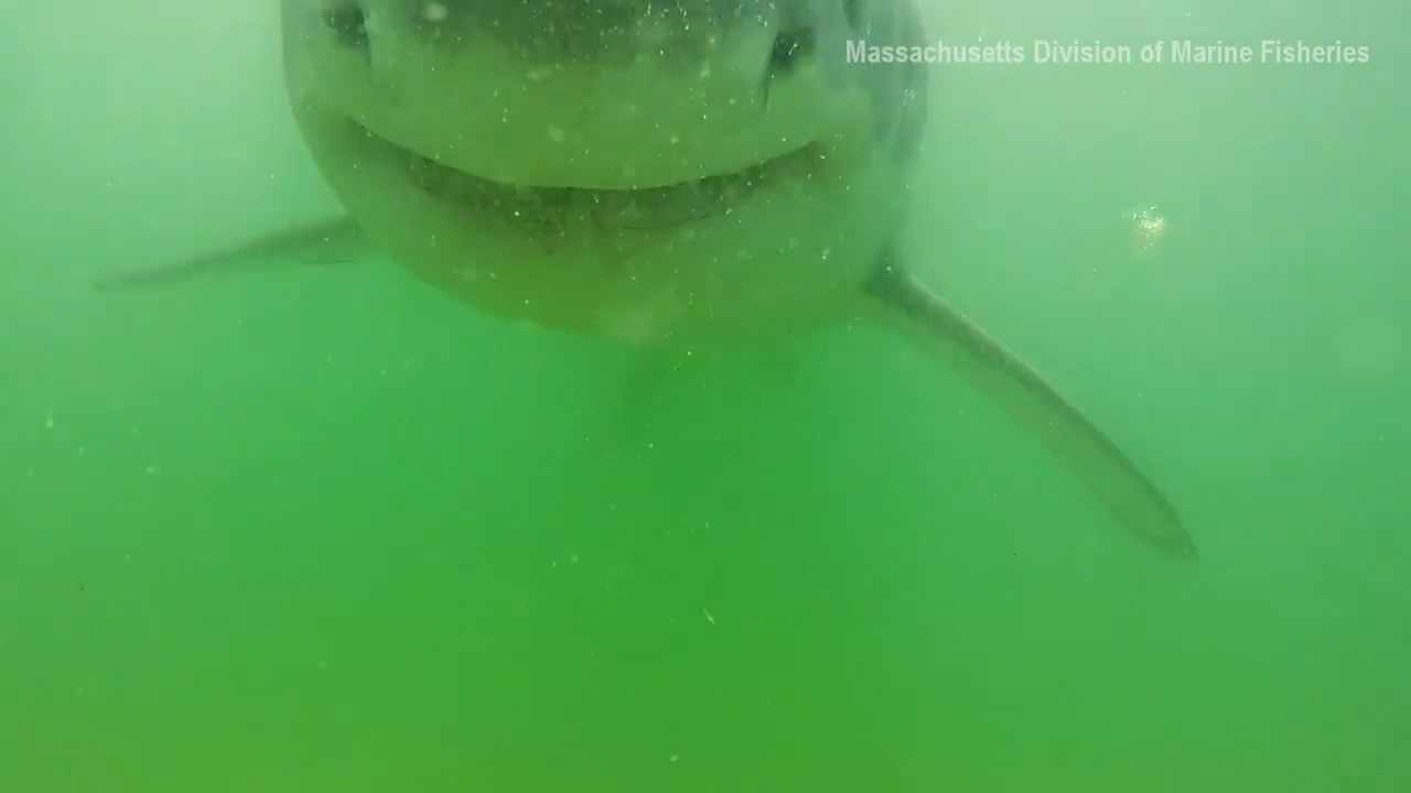 사진=미국 매사추세츠주 해양수산부