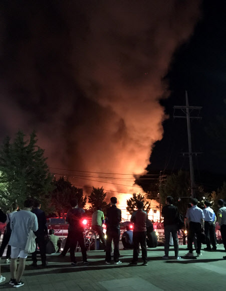 심야 화훼단지에 불