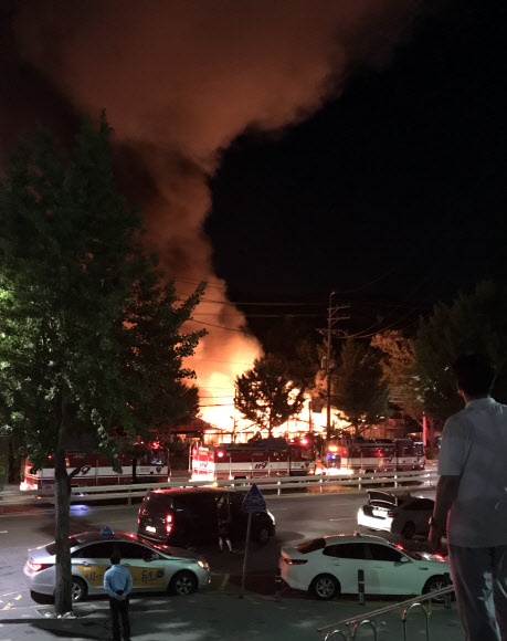 심야 화훼단지에 불