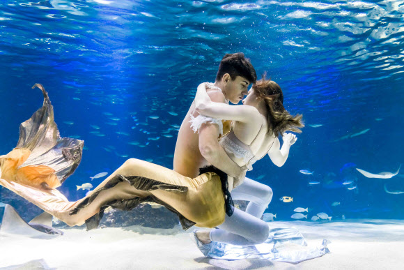 한화 아쿠아플라넷63, 여름 방학 특별공연