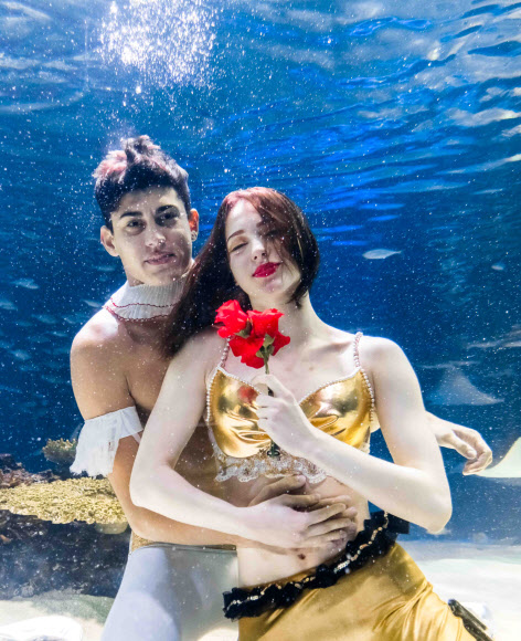 한화 아쿠아플라넷63, 여름 방학 특별공연