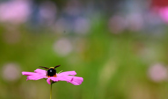 가을은 언제 오나