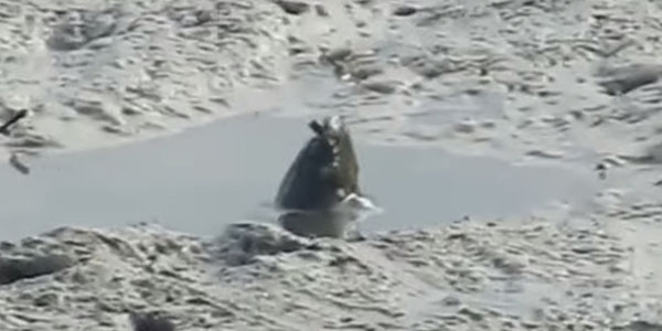 유튜브 영상 캡처