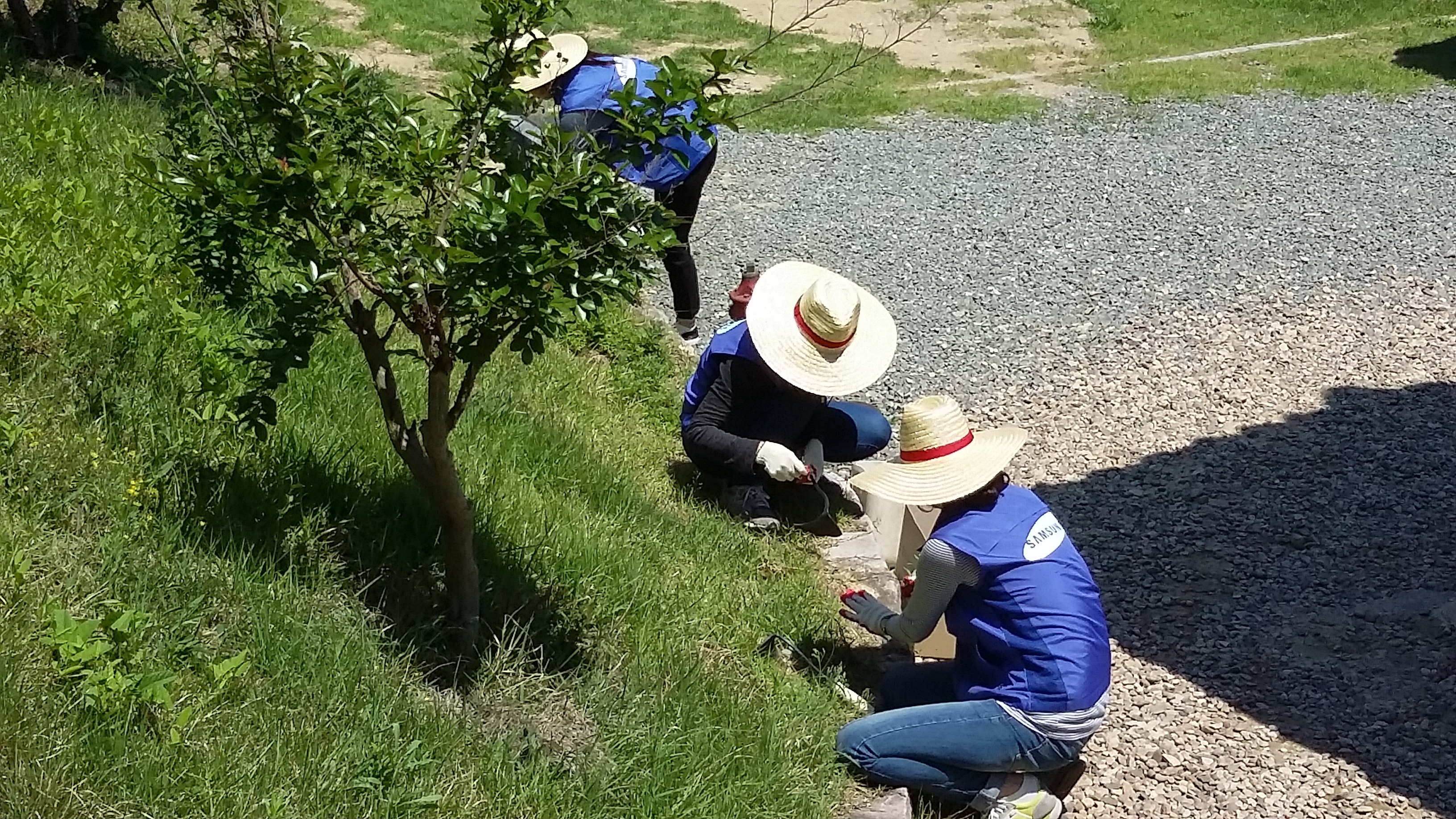 임청각. 임청각 웹사이트 캡처