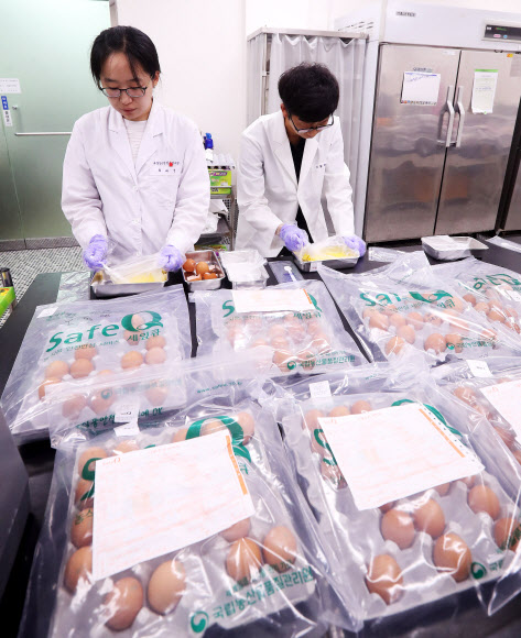 살충제 계란 파장이 계속되고 있는 16일 오전 경기도 안양시 만안구 국립농산물품질관리원 경기지원 분석실에서 관계자들이 계란을 검사하고 있다.  연합뉴스