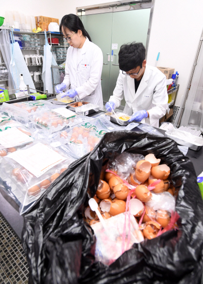 16일 경기도 안양시 국립농산물품질관리원 경기지원 분석실에서 연구원들이 각 양계농가에서 수집한 계란에 대한 살충제성분 검사를 하고 있다.  정연호 기자 tpgod@seoul.co.kr