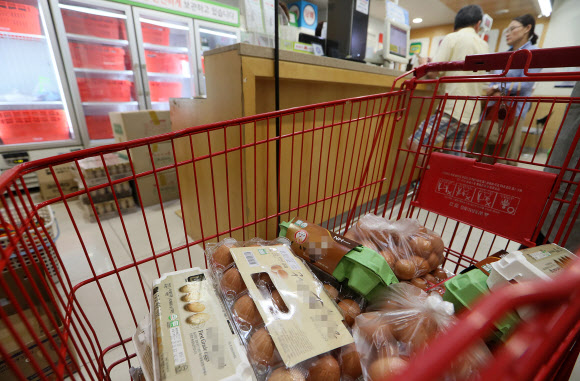 16일 오후 서울 한 대형마트에서 직원이 이날 반품된 계란을 옮기고 있다. 국내산 친환경 농가 계란에서 사용이 금지된 살충제 성분이 검출되면서 전국 대형마트와 편의점, 온라인몰 등에서 계란 판매를 중단했다.  연합뉴스