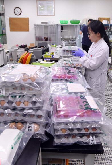16일 경기 안양시 국립농산물품질관리원에서 연구원들이 전국 양계농가에서 수집한 달걀의 살충제 성분을 검사하고 있다. 정연호 기자 tpgod@seoul.co.kr