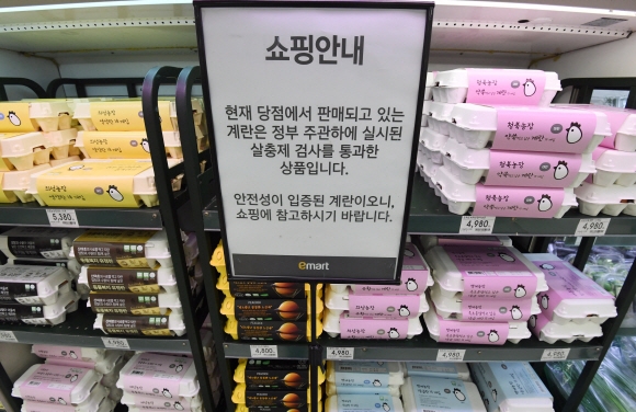 새로운 성분의 살충제 성분 검출로 계란 공포가 전국적으로 확산된 17일 오후 서울 용산 이마트에 안전한 계란임을 알리는 글이 걸려있다. 도준석 기자 paod@seoul.co.kr