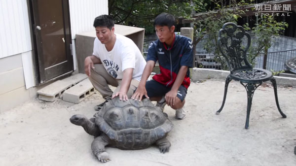 朝日新聞社 youtube