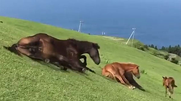 Jukin, Global Sports News youtube