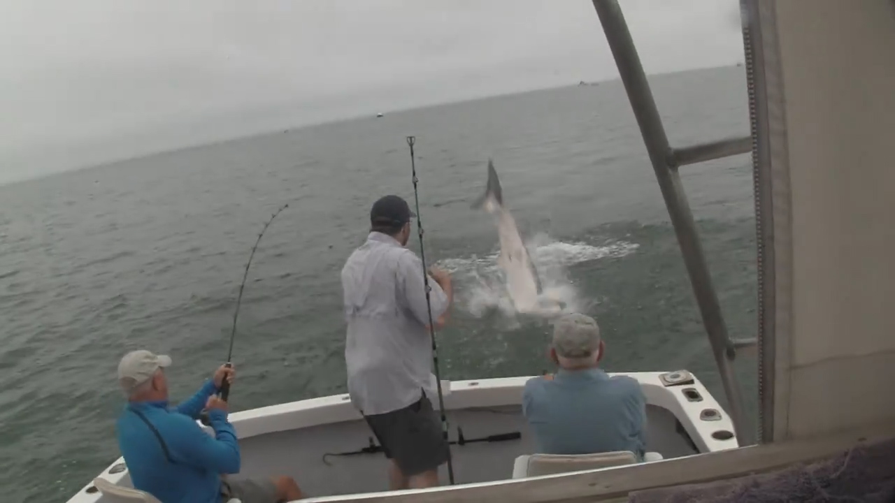 페이스북 영상 캡처