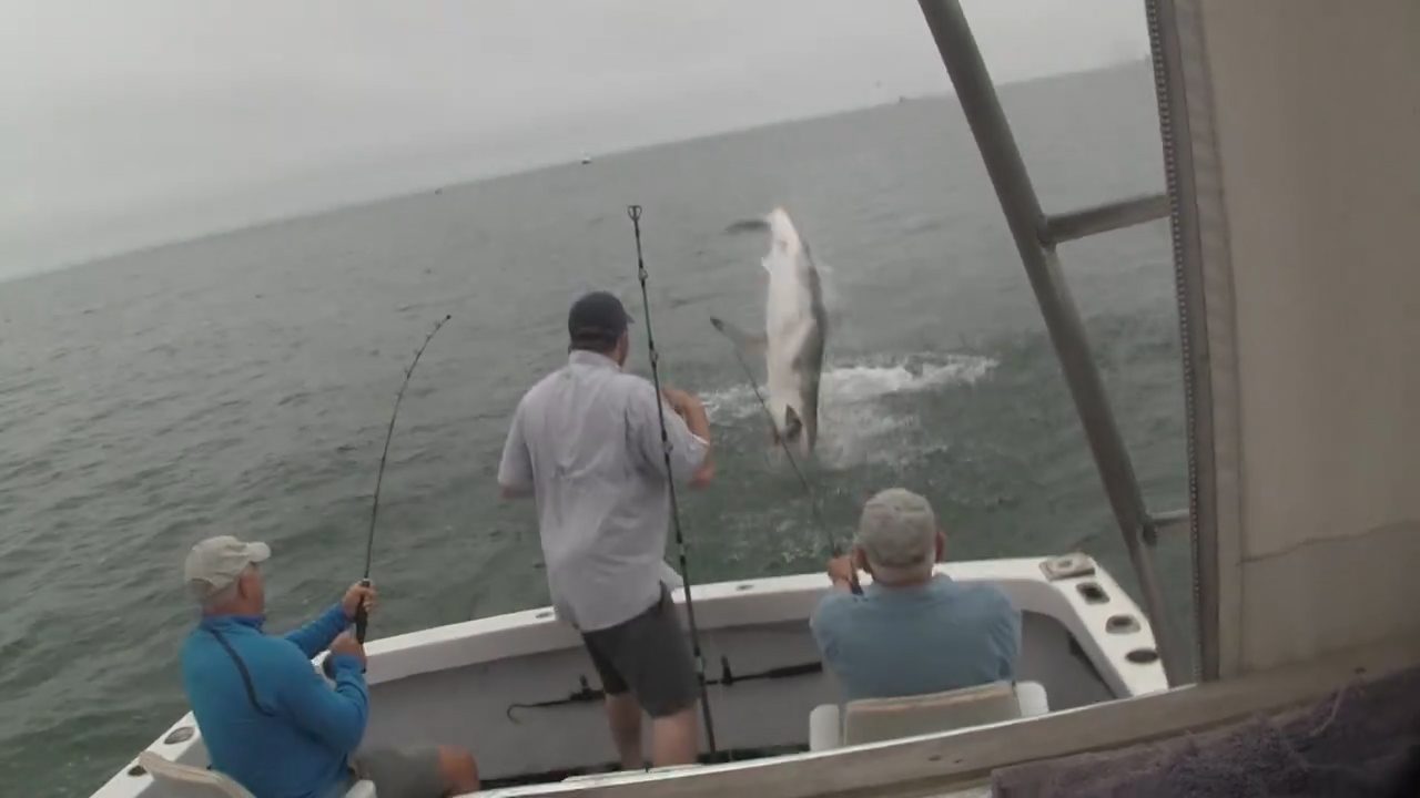 페이스북 영상 캡처