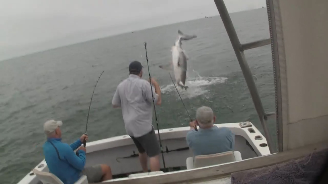 페이스북 영상 캡처