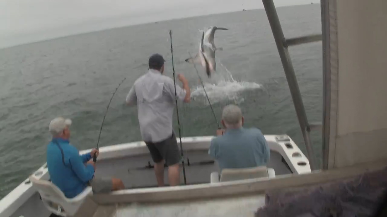 페이스북 영상 캡처