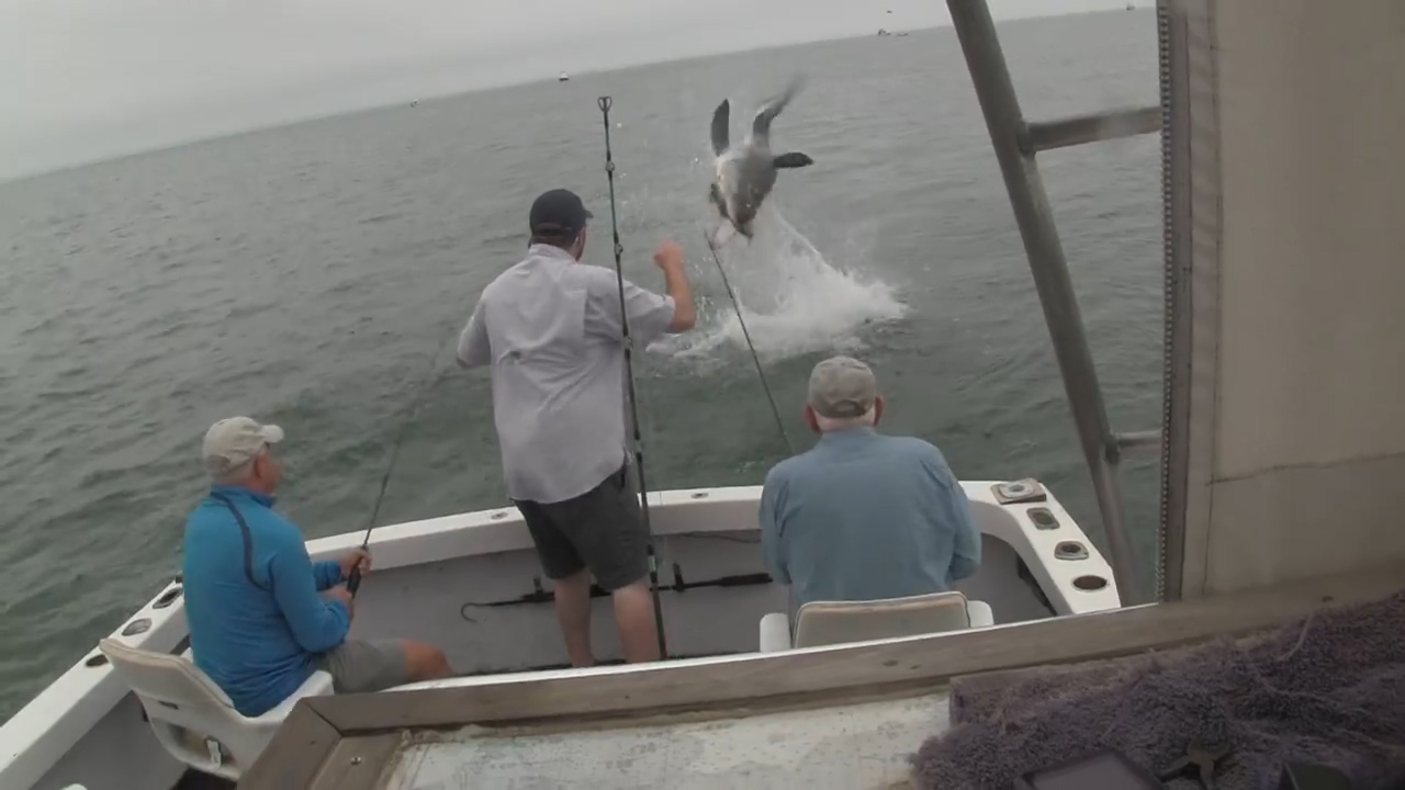 페이스북 영상 캡처